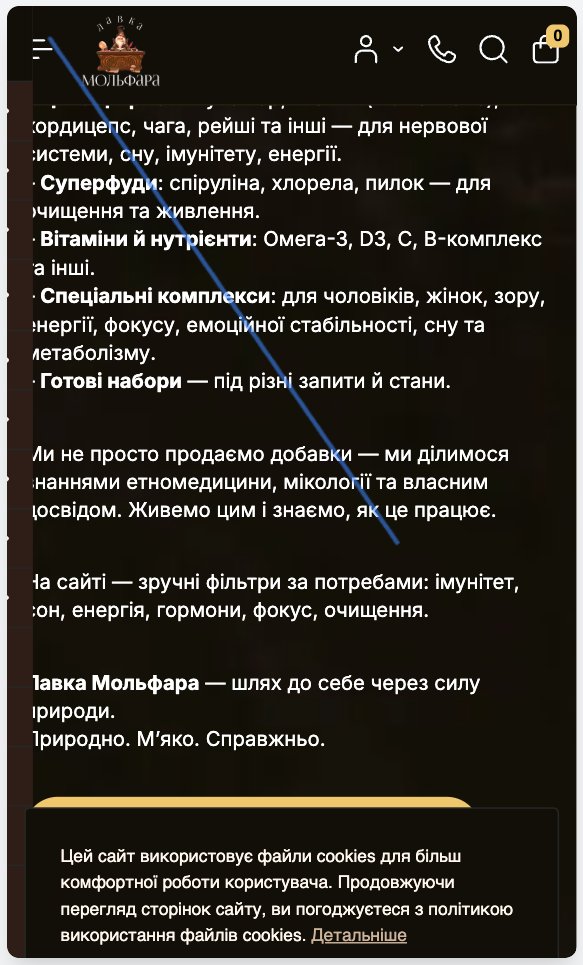 Запис сесії в ObserviX, iPhone: банер cookies займає нижню чверть першого екрана.